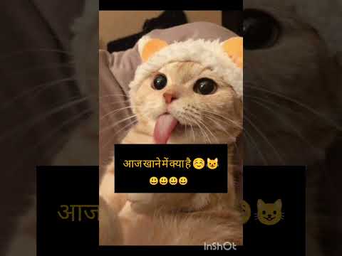Cat 🐈 funny jokes #funny #comedy #comedysoundeffects #emoji #funnybackground #cartoon