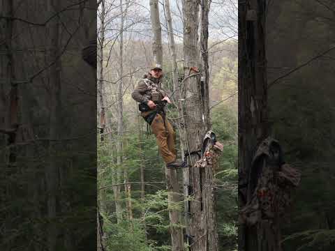Saddle hunting safety tip with Beau Martonik