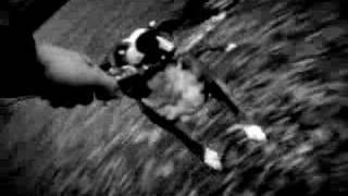 Näääk - Mina Gangsters (Ft. Nimo)