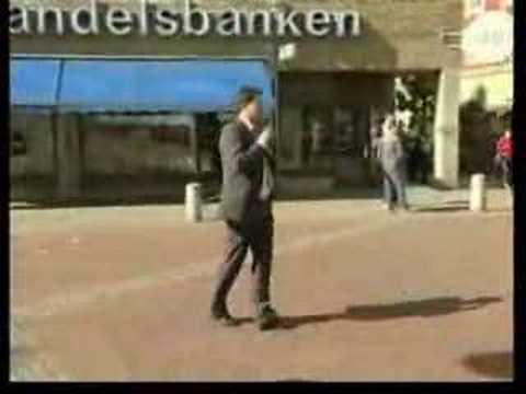 Valet 2006 - Sverigedemokraterna