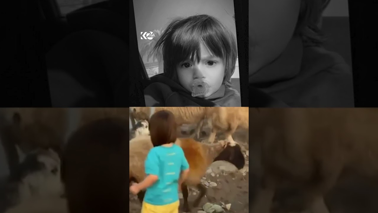 ڤیدیۆ | ئەم ڤیدیۆیە 4 کاتژمێر پێش خنکانی میر رەوا گیراوە، ئەو منداڵەی شەوی رابردوو کەوتە زێی گەورەوە