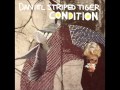 Daniel Striped Tiger - Fire Broke the Windows
