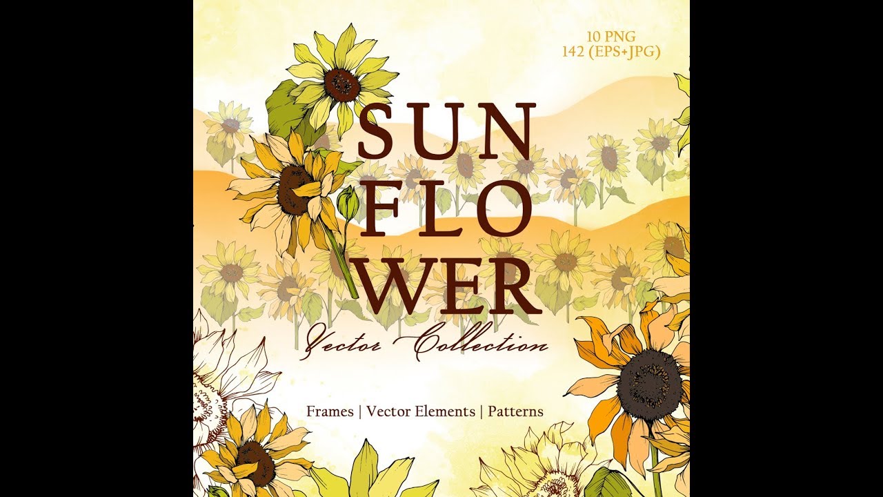 Sunflower Vector Collection