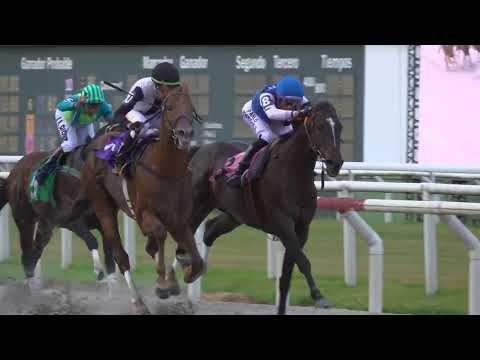 12/7/2025 – Hipodromo Maroñas – Carr 11 – CERRO LARGO (2018)