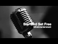 Sia - Bird Set Free Instrumental 