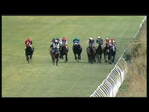 Galoppo 25/01/2020 - 3ª corsa