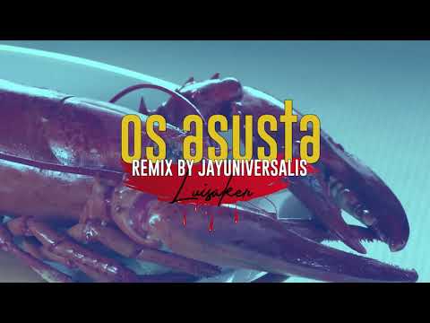 LUISAKER - OS ASUSTA (JAYUNIVERSALIS REMIX)