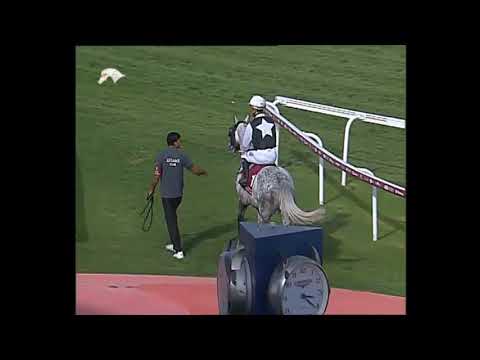 33rd Race Meeting of season 2017 / 2018