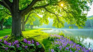 Heal Your Nervous System With Beautiful Relaxing Music, Deep Relaxation & Calming Health Music Mixes