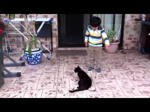 Aneeq is Playing with the CAT