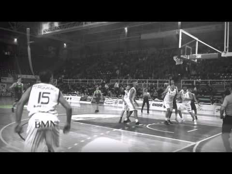 t1516j29 highlights palma