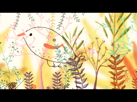 DÚO KARMA - TRANSPARENTE