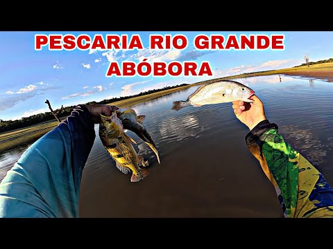 PESCARIA NO ABÓBORA RIO GRANDE EM ICÉM! PORQUINHO TUCUNARÉ E CORVINA