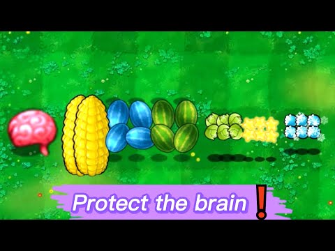 Faced with giant newspaper zombies, Which bullets can successfully protect the brain❓❗