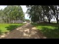 Whole Tree Chambers - Climate Change Research ...