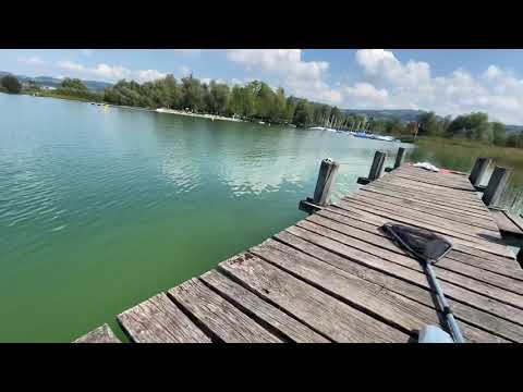 Fishing day in switzerland pfaffikersee (karpfen )