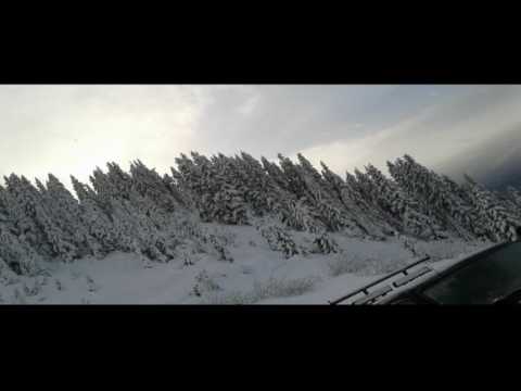 Blind Pigeon - Winter wonderland