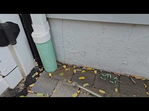 Back Patio Infested with Ants in Edison, NJ