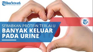Sindrom Nefrotik, Gangguan yang Sebabkan Tubuh Mengeluarkan Terlalu Banyak Protein pada Urine