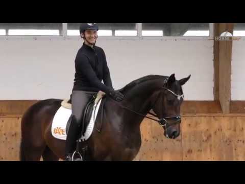 7 Scuderia x Davignon