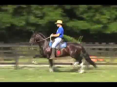 LOTE 31 - HOLOFOTE DE SÃO LOURENÇO