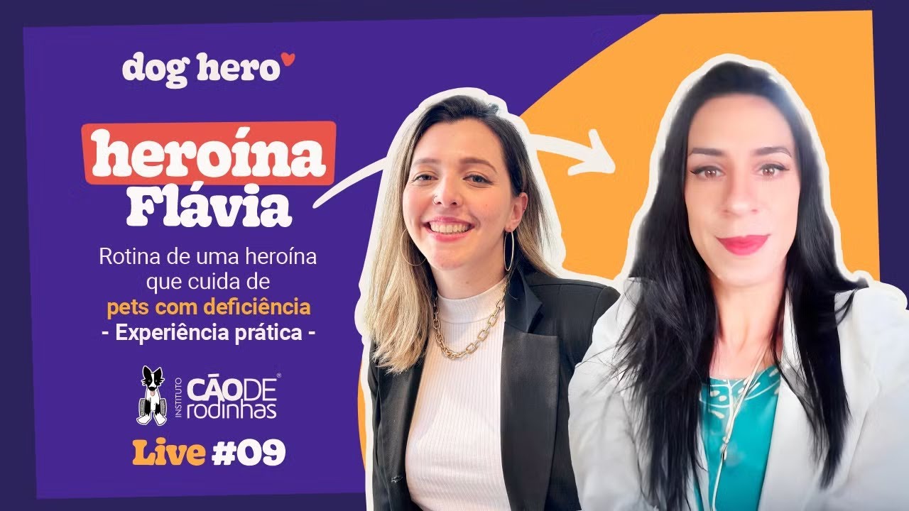 Rotina de uma heroína que cuida de pets com deficiência | Experiência prática | Live #09