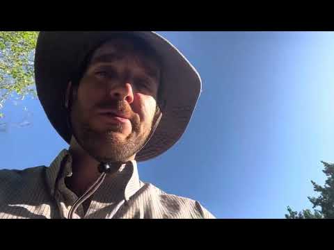 Taste test! Seakale, Turkish rocket, good king henry, and garden sorrel. Perennial greens!