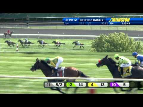 2012 American St Leger Jakkalberry