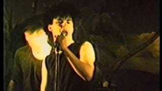 The Mau-Mau's - Run With The Pack (Live at Palm Cove in Bradford, UK, 1983)