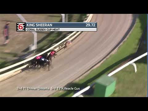 2020 CORAL SUSSEX CUP - HEAT 3 - T6 KING SHEERAN