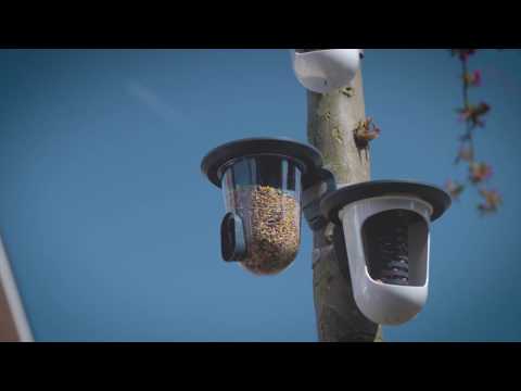 Singing Friends Wildbird Feeders