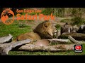 Safari Park State Of The Park Winter 2025