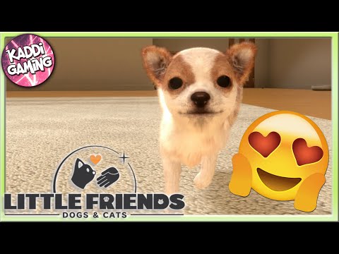 We're adopting a dog 🐕 Little Friends #01
