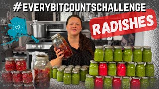 Radishes 4 Ways to Process Them #everybitcountschallenge