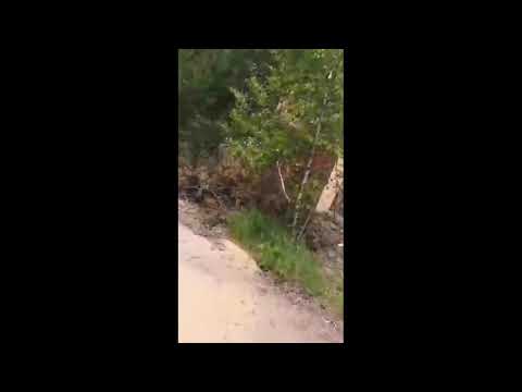 Ploužnice - Ralsko. 10 června. 2019