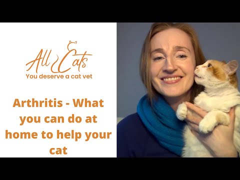 Arthritis - What you can do at home to help your cat