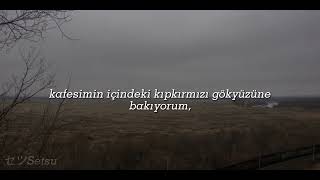 the GazettE-虚蜩 (Utsusemi) [Türkçe Çeviri]