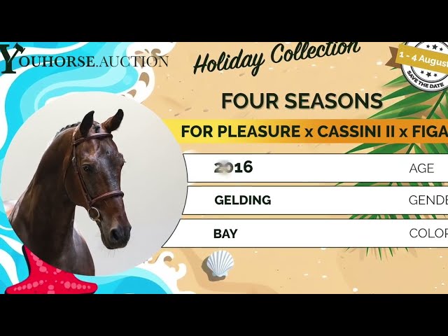 Four Seasons showvideo