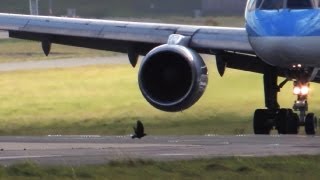 Bird strike? Not likely!