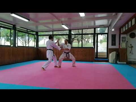 Saifa - Renzoku Bunkai, by Ricardo Leite 6° Dan