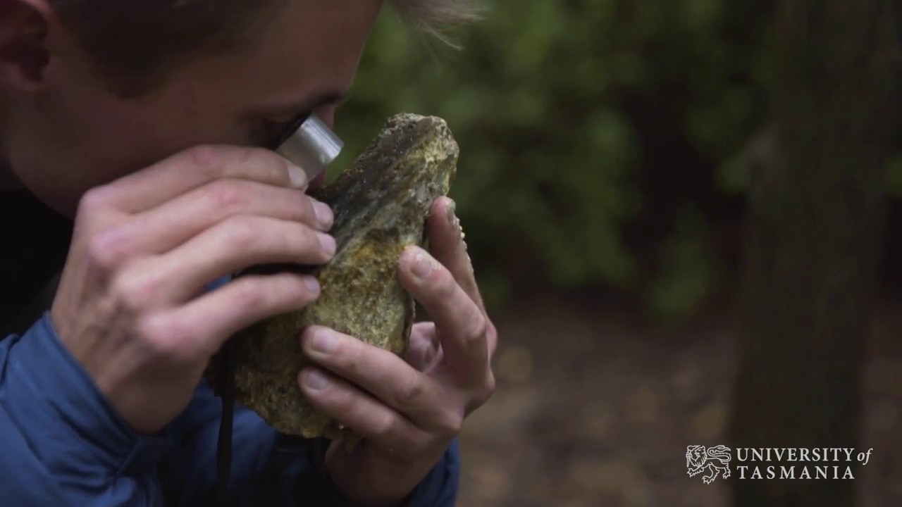 Play video: Rading rocks to find mineral trace elements