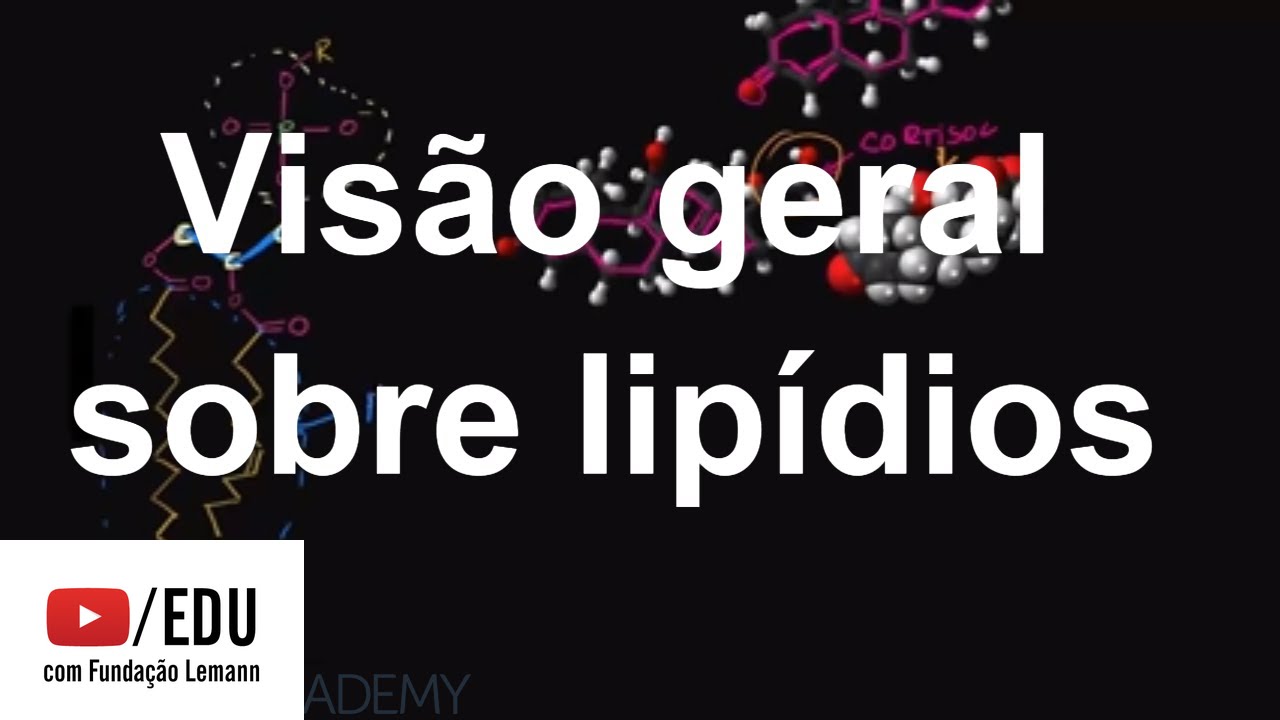 Visão geral sobre lipídios | Macromoléculas | Biologia | Khan Academy