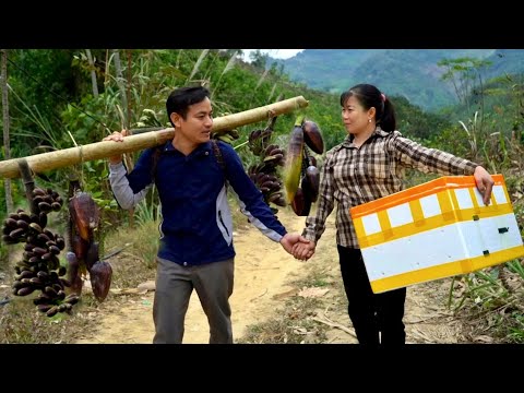 CEO's new life journey: Single mother venturing into deep forest to search for rare bananas cooking.