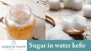 Nutritional Tip | Too much sugar in my Water Kefir
