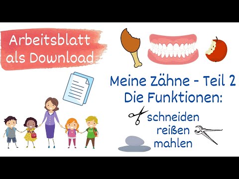 Meine Zähne Teil 2 - Die Funktionen der Zähne, Sachunterricht Grundschule - mit Arbeitsblatt