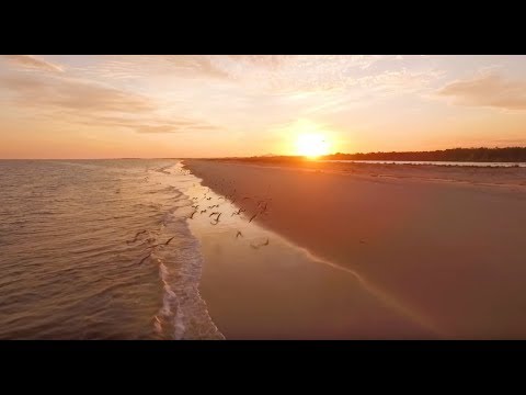 CHRISTIAN F - Secret (feat. Bodhi Jones) (Algarvepass Official Music Video) "Vidisco"