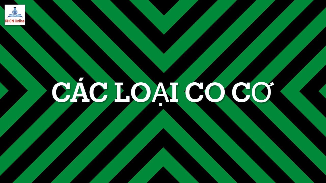 Các loại co cơ