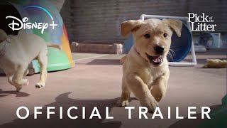 Official Trailer