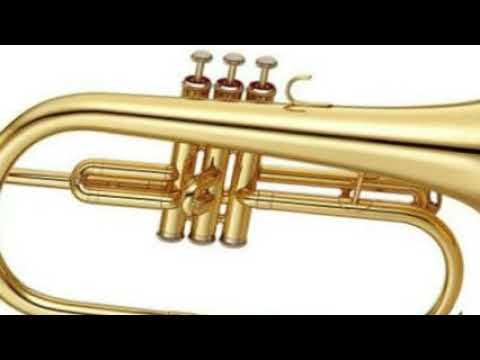 Tim van Werd   Balkan Disco Extended Mix