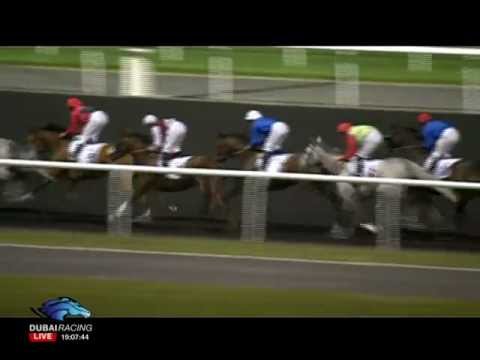 Race 2 - Swaidan Trading Company - Peugeot